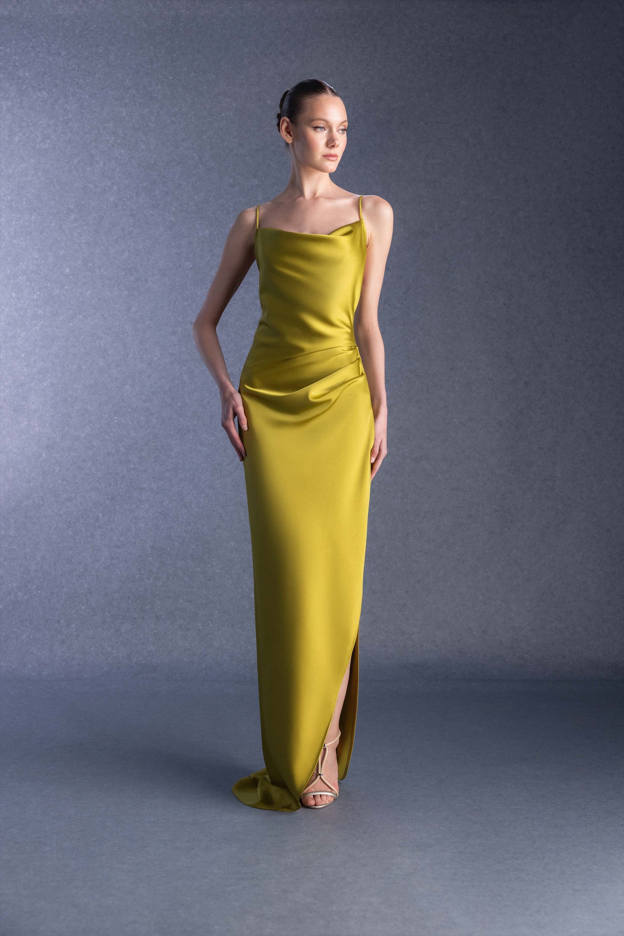 Lunae Alga Women's Dress